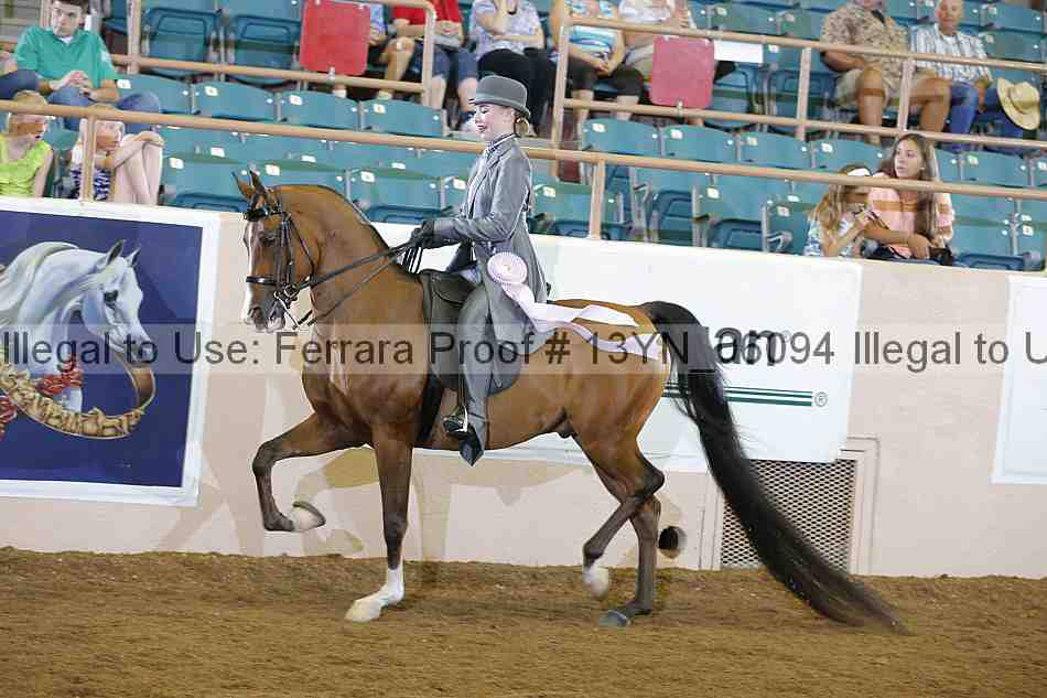 Proof 13yn_06094