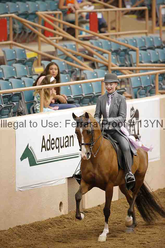 Proof 13yn_06095