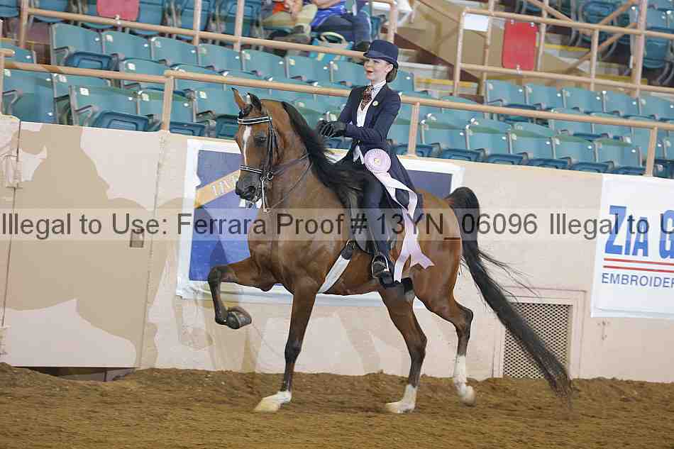 Proof 13yn_06096