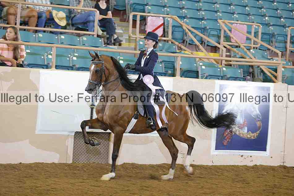 Proof 13yn_06097