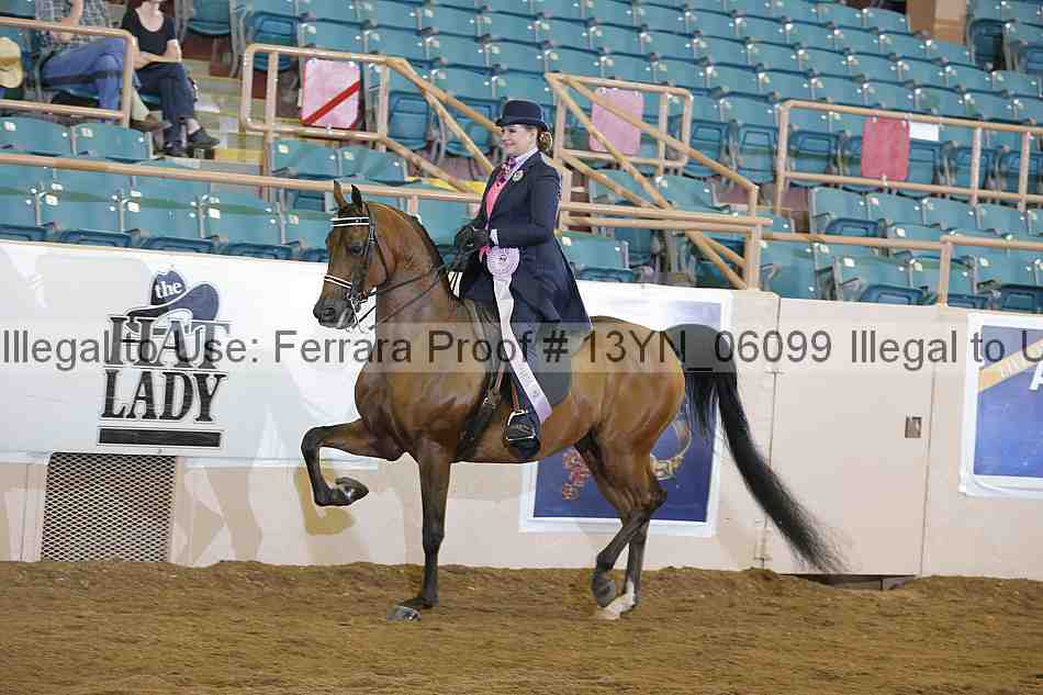 Proof 13yn_06099
