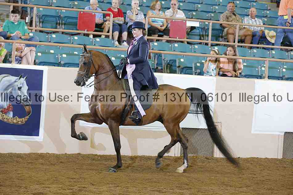 Proof 13yn_06101