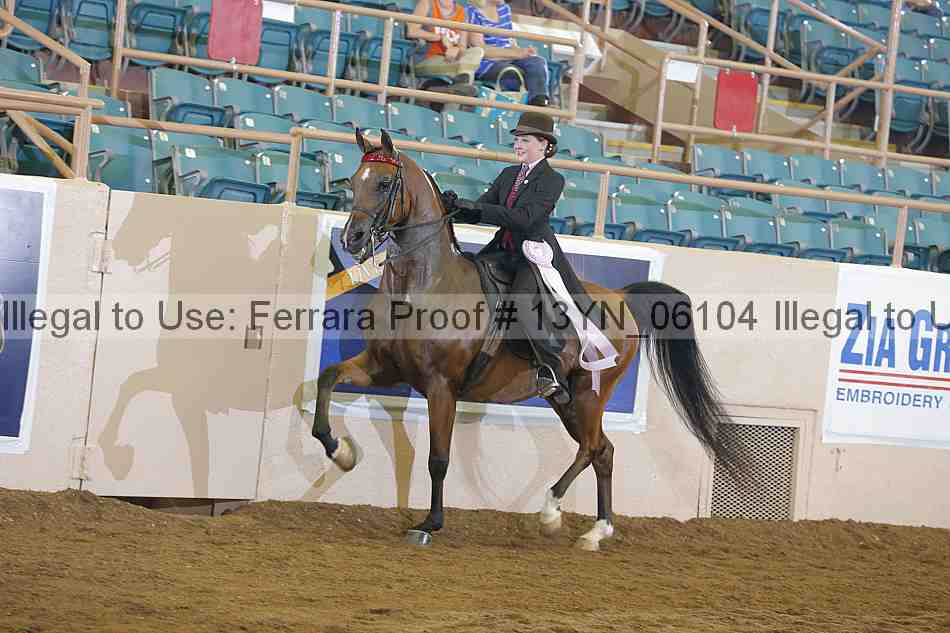 Proof 13yn_06104