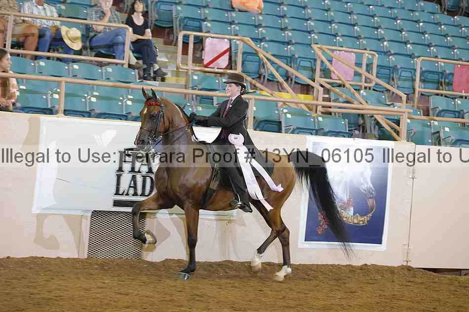 Proof 13yn_06105