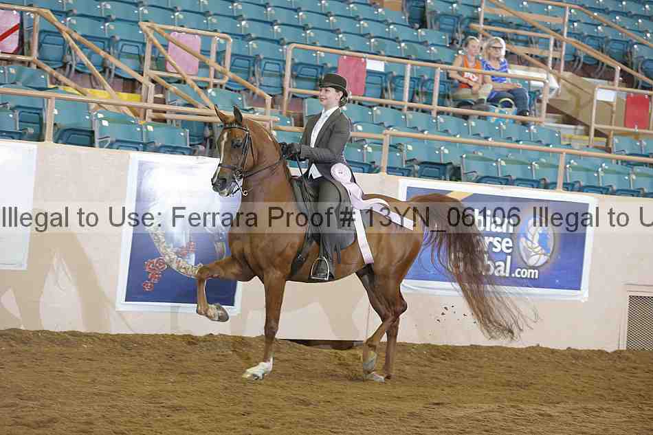 Proof 13yn_06106