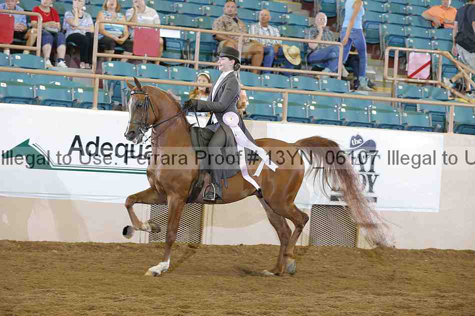 Proof 13yn_06107