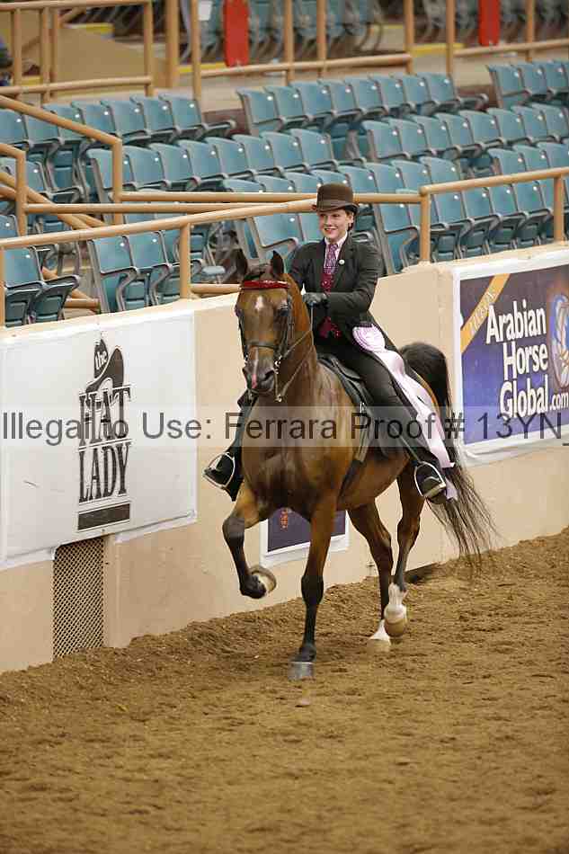 Proof 13yn_06108