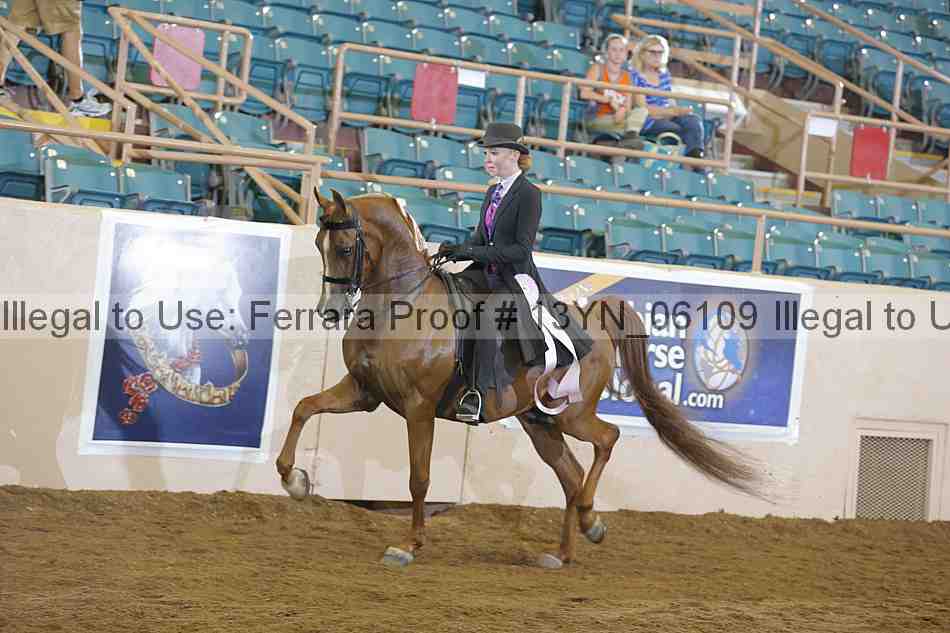Proof 13yn_06109