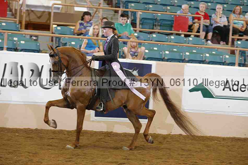 Proof 13yn_06110