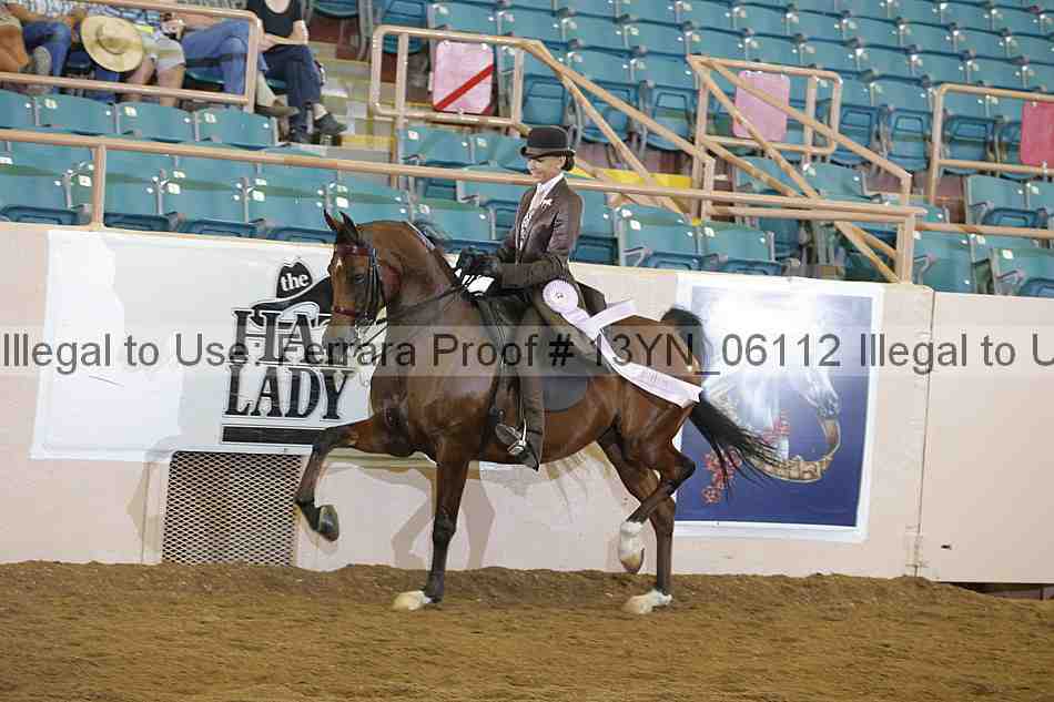 Proof 13yn_06112