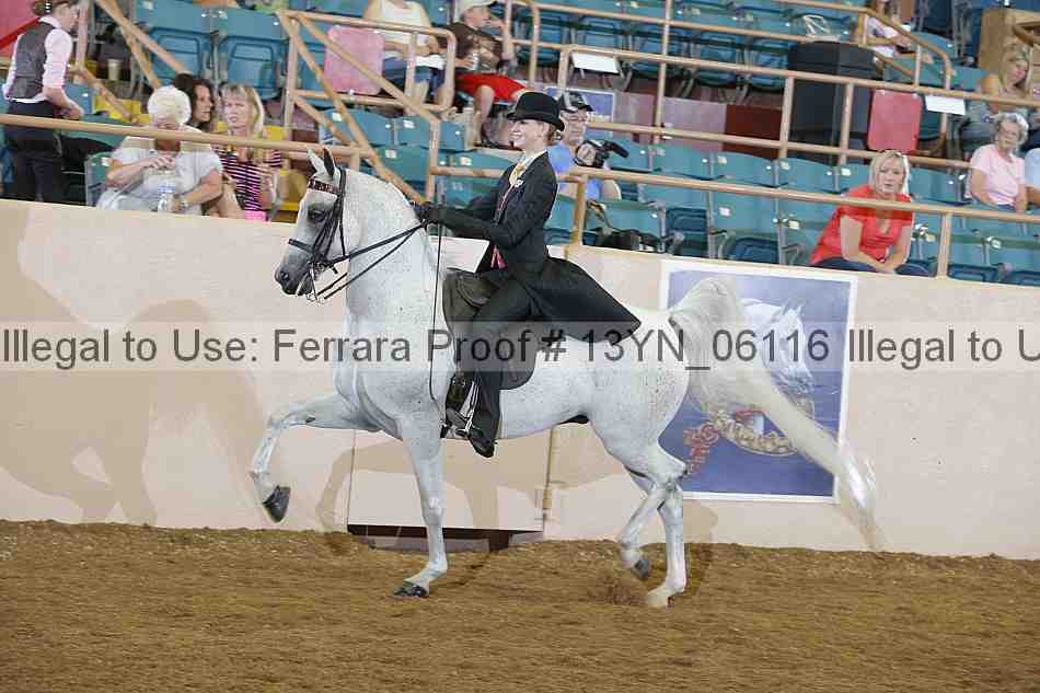 Proof 13yn_06116