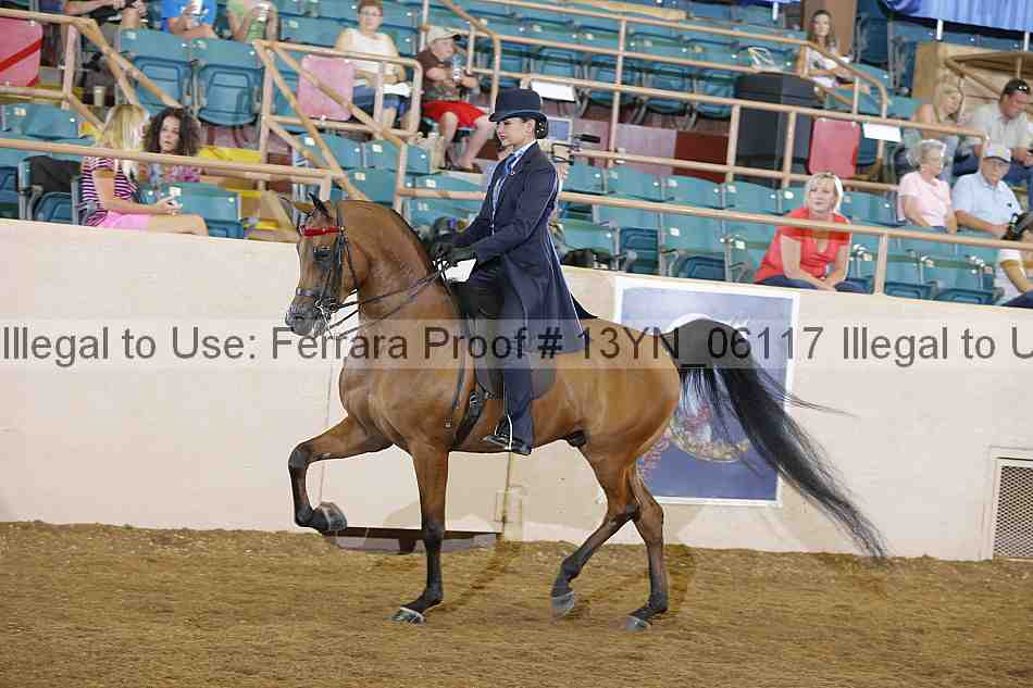 Proof 13yn_06117