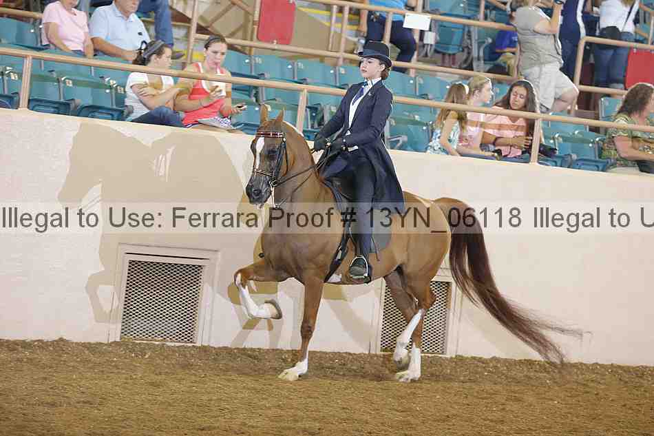 Proof 13yn_06118