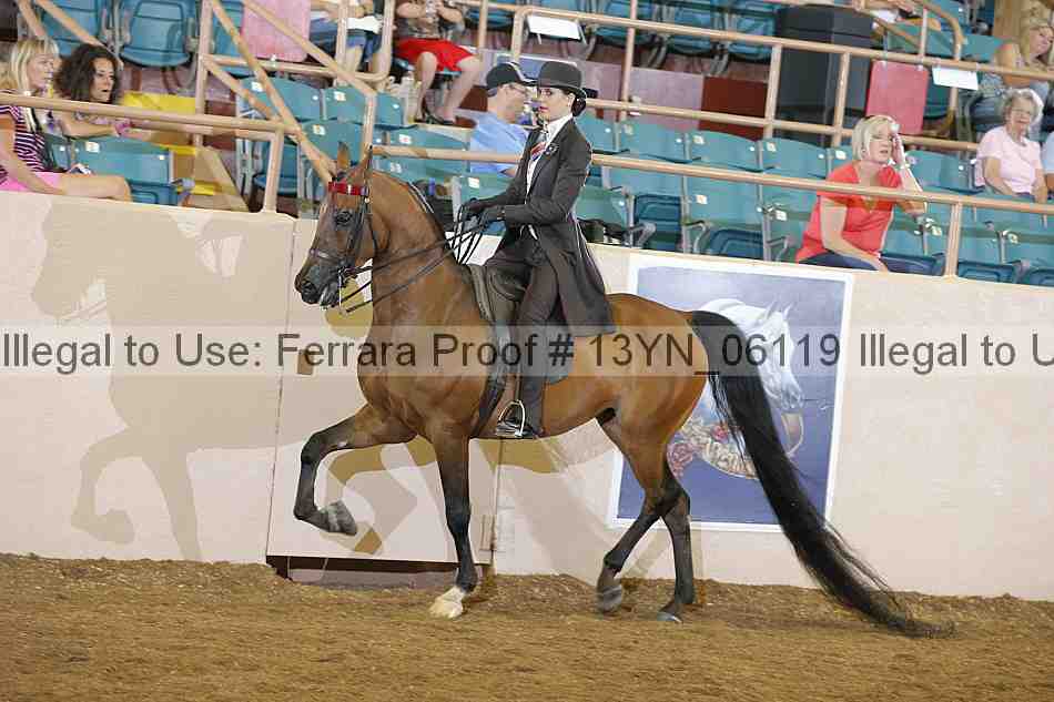 Proof 13yn_06119