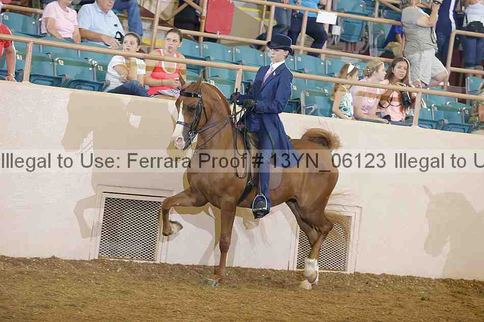 Proof 13yn_06123