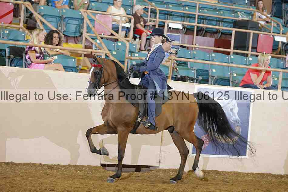 Proof 13yn_06125