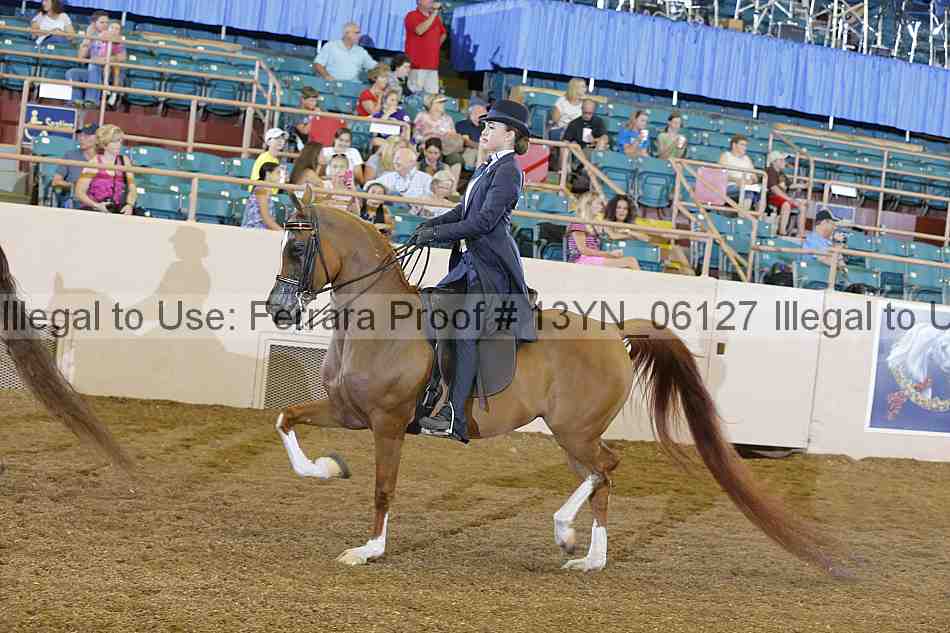 Proof 13yn_06127