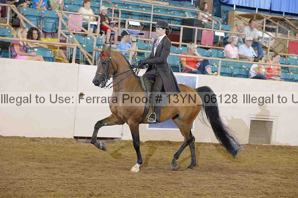 Proof 13yn_06128