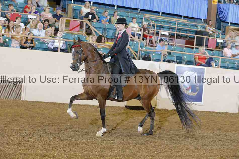 Proof 13yn_06130