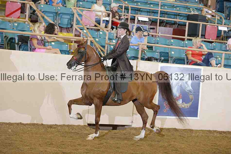 Proof 13yn_06132