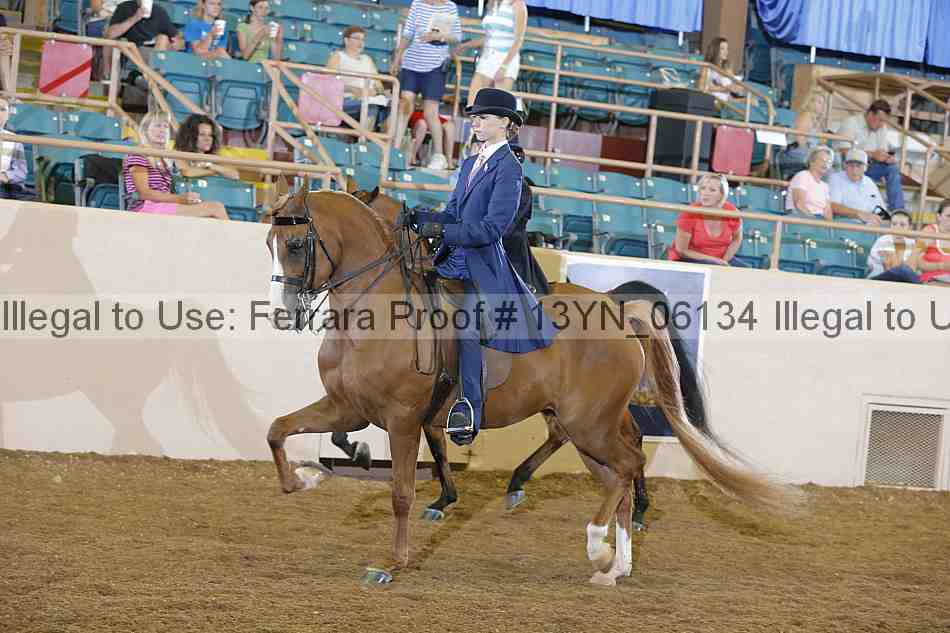Proof 13yn_06134
