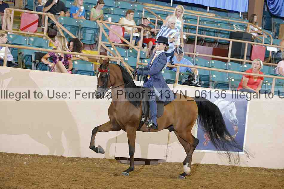 Proof 13yn_06136