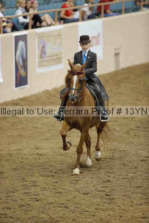 Proof 13yn_06138