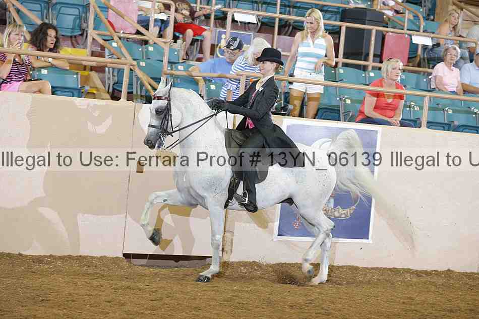 Proof 13yn_06139