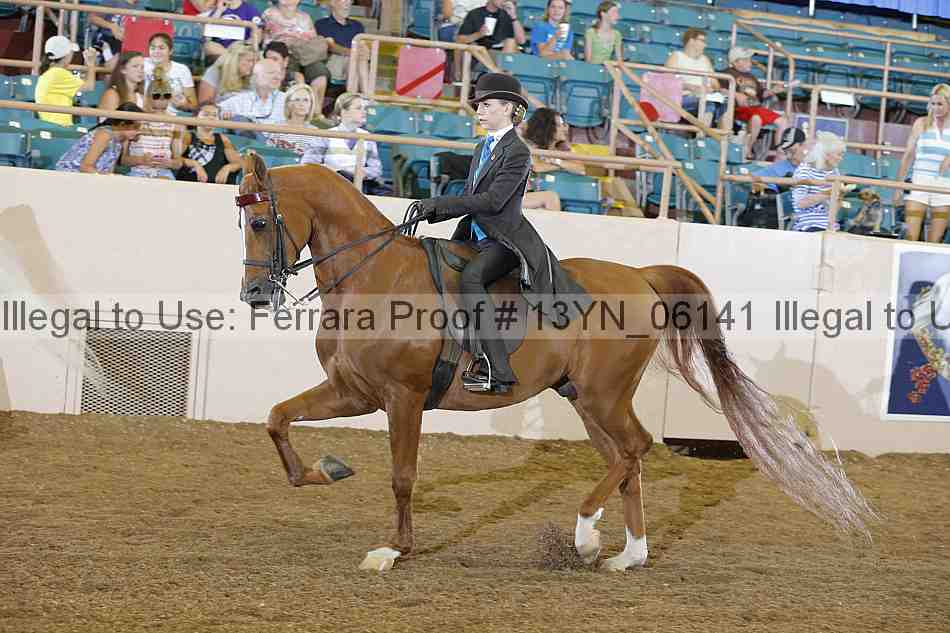 Proof 13yn_06141
