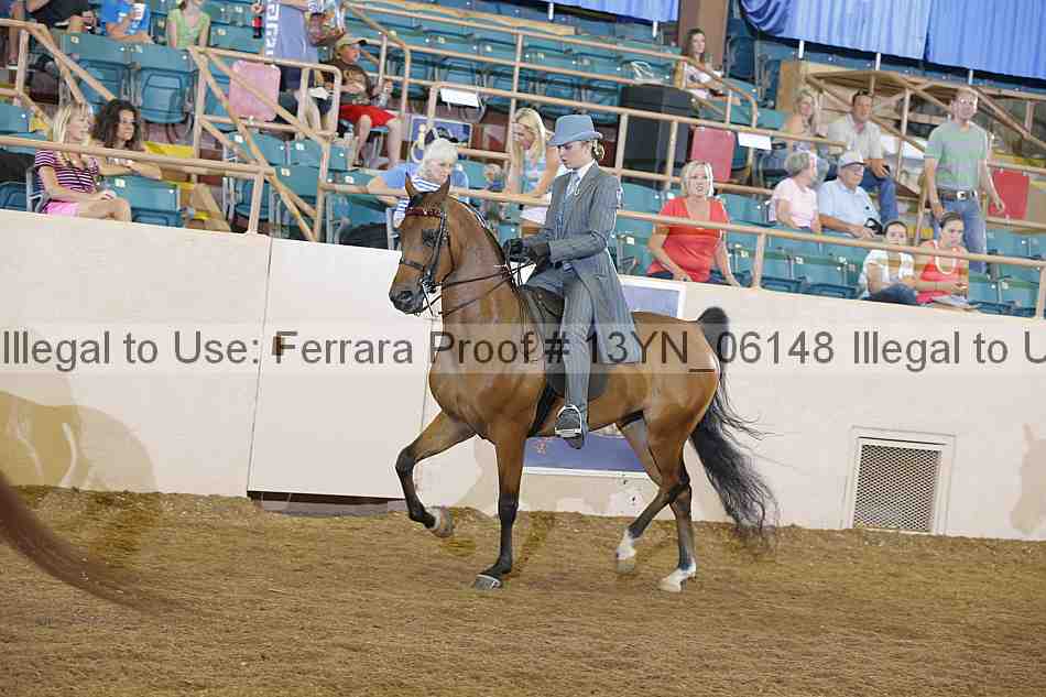 Proof 13yn_06148