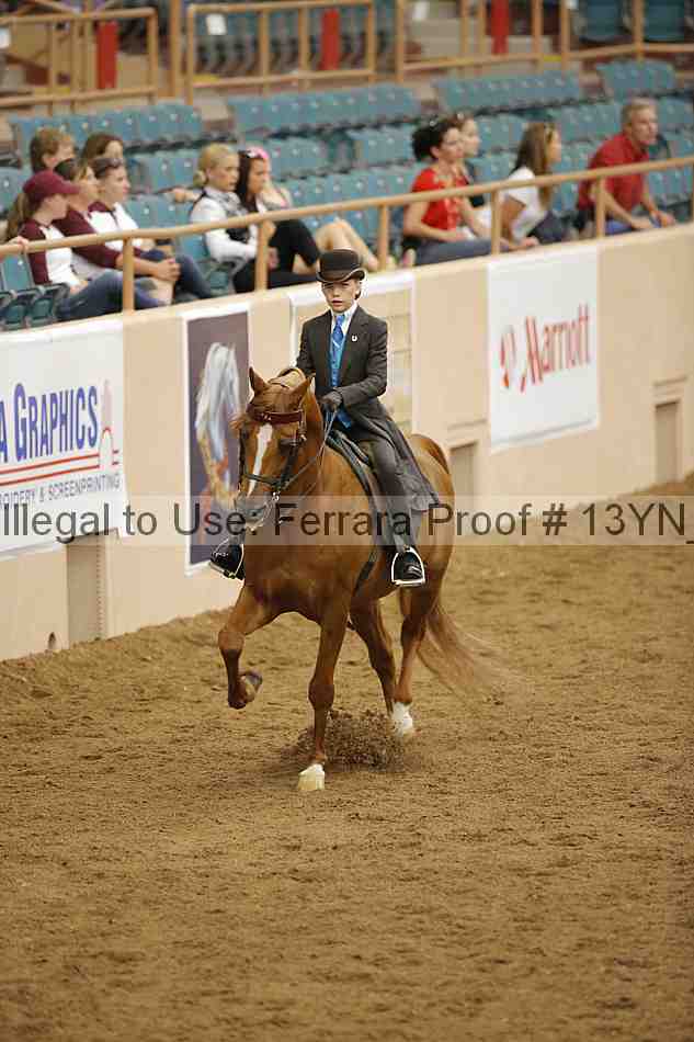 Proof 13yn_06149