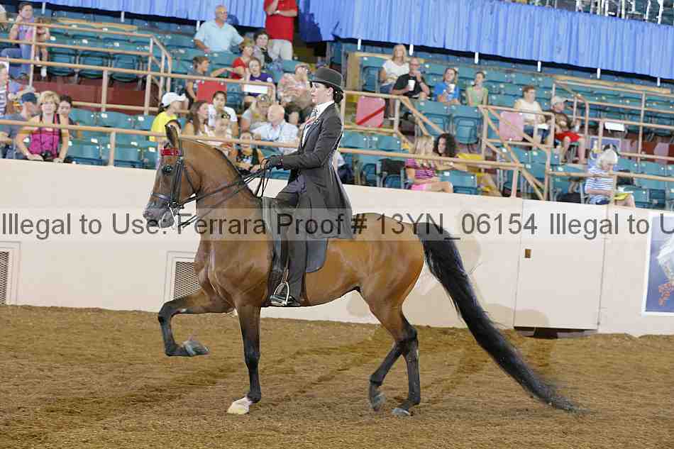 Proof 13yn_06154