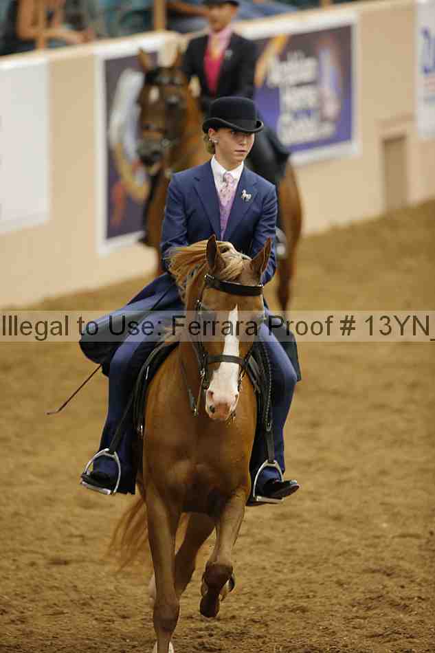 Proof 13yn_06156