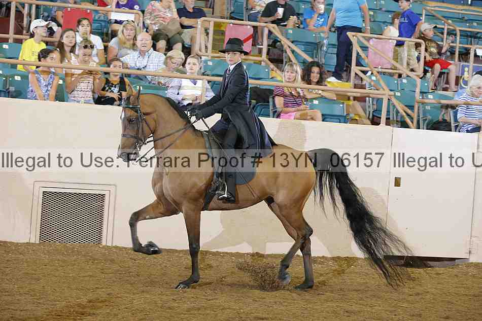 Proof 13yn_06157