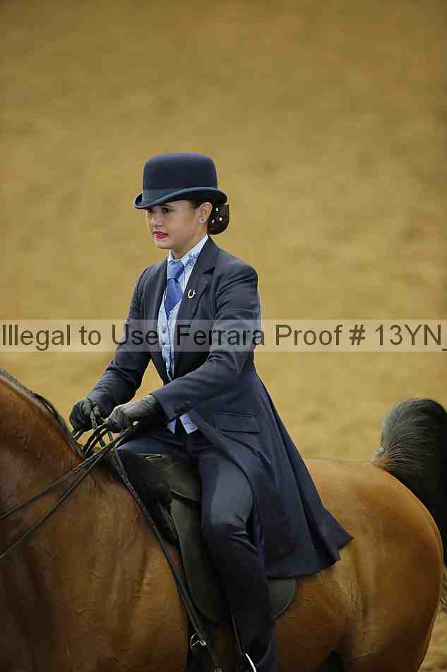 Proof 13yn_06160