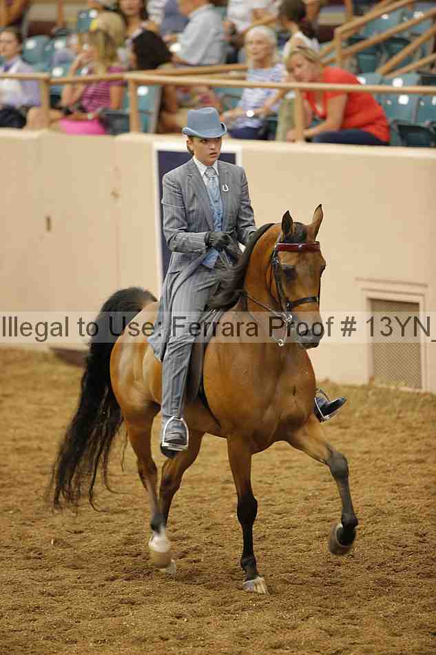 Proof 13yn_06161