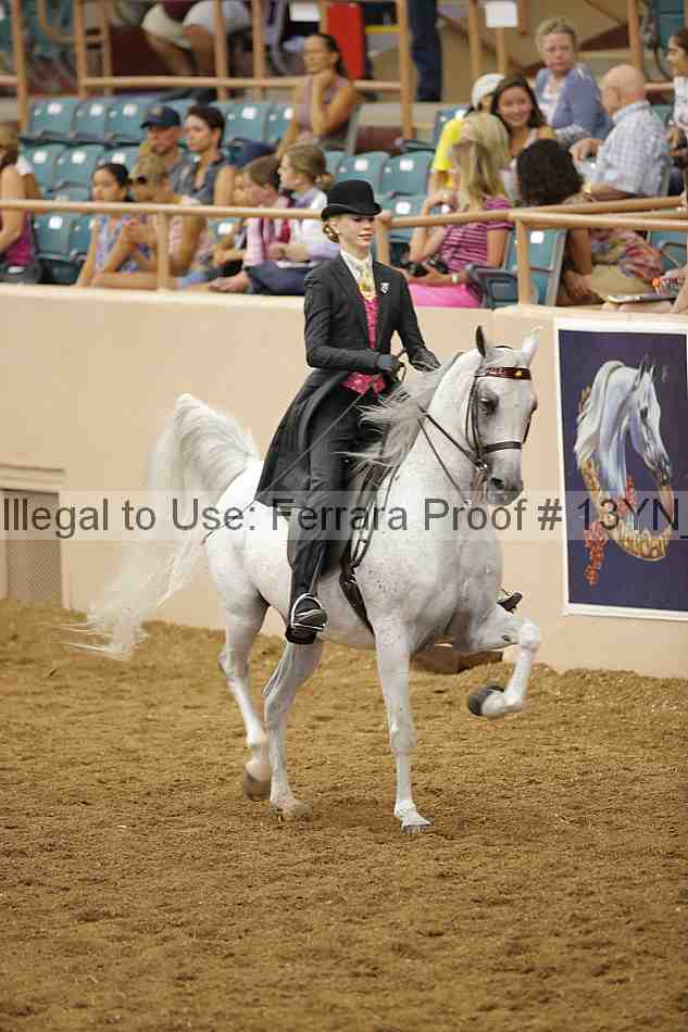 Proof 13yn_06166