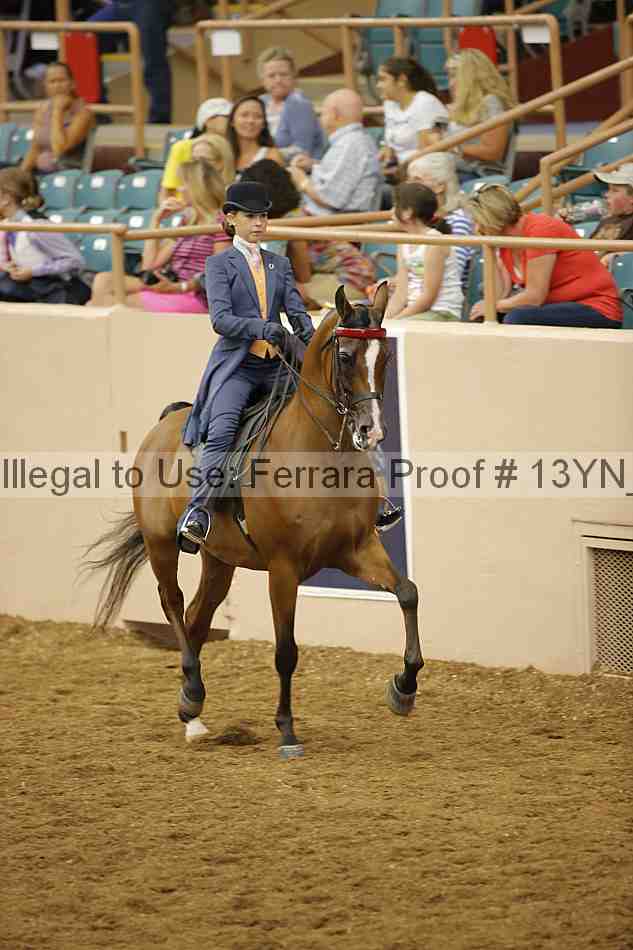 Proof 13yn_06167