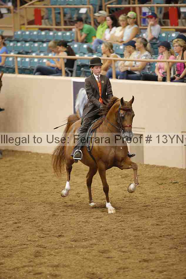 Proof 13yn_06171