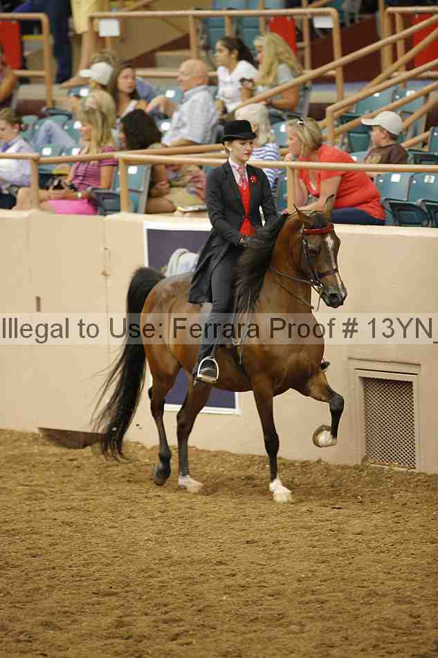 Proof 13yn_06175