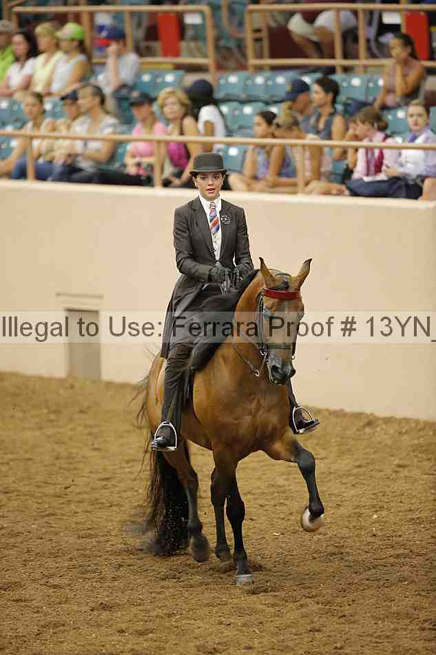 Proof 13yn_06177