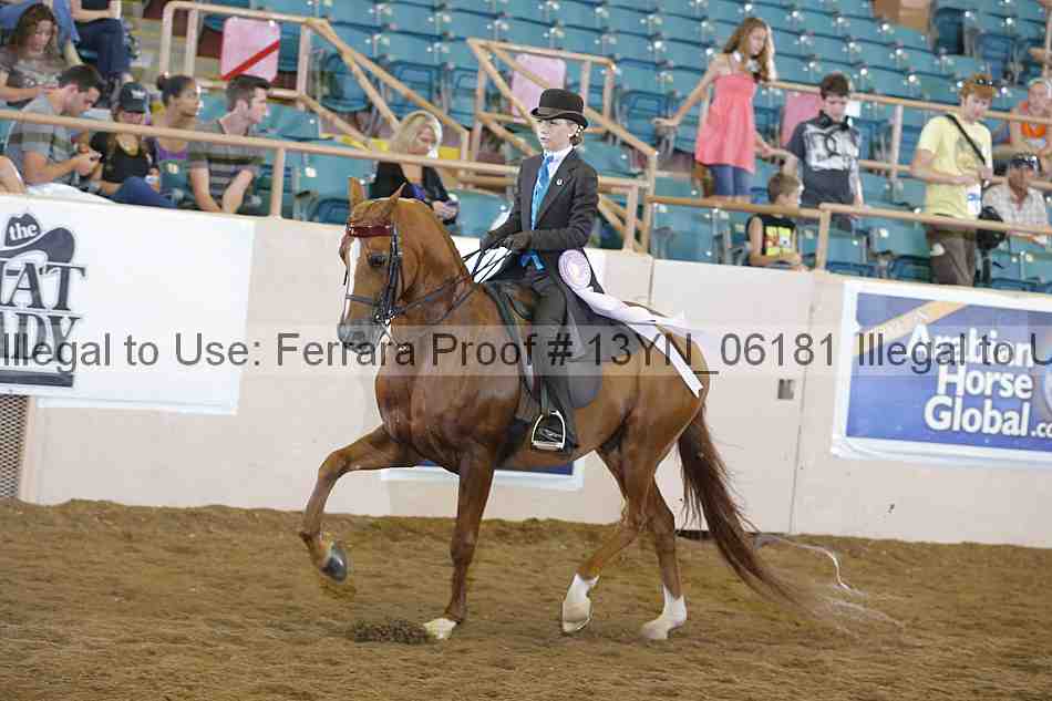 Proof 13yn_06181