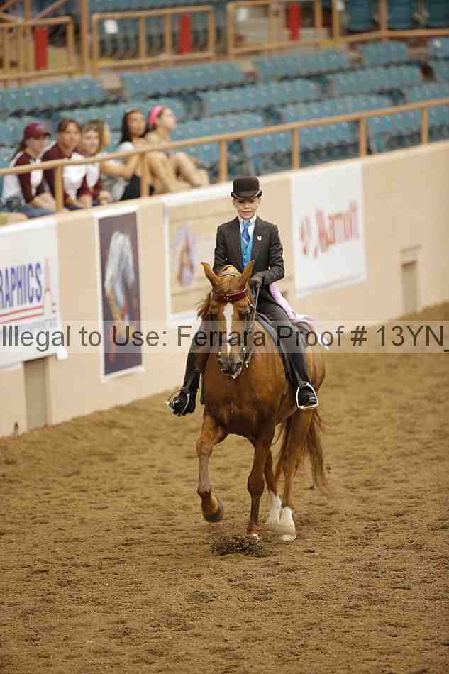 Proof 13yn_06183