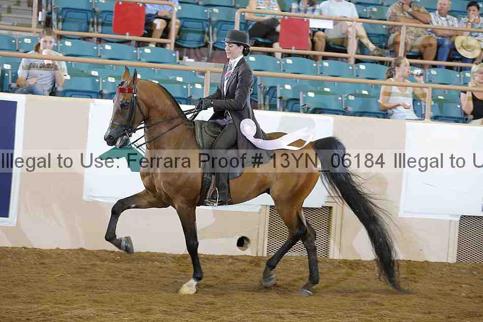 Proof 13yn_06184