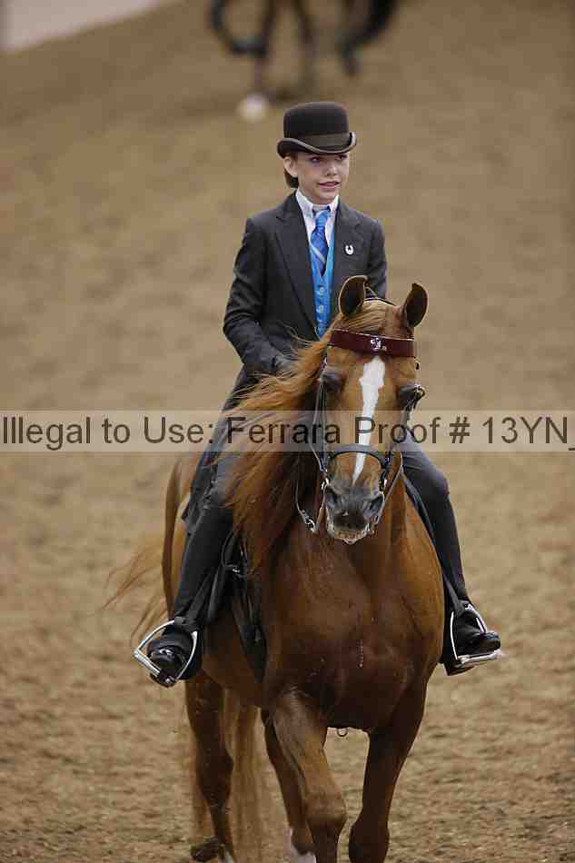 Proof 13yn_06185