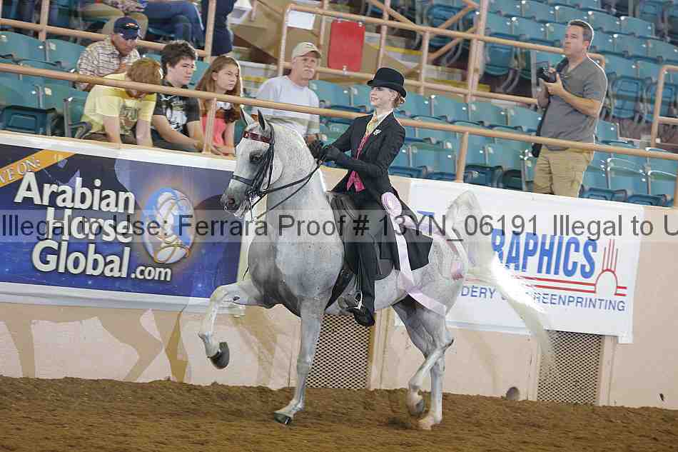 Proof 13yn_06191