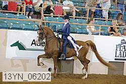 13yn_06202 proof