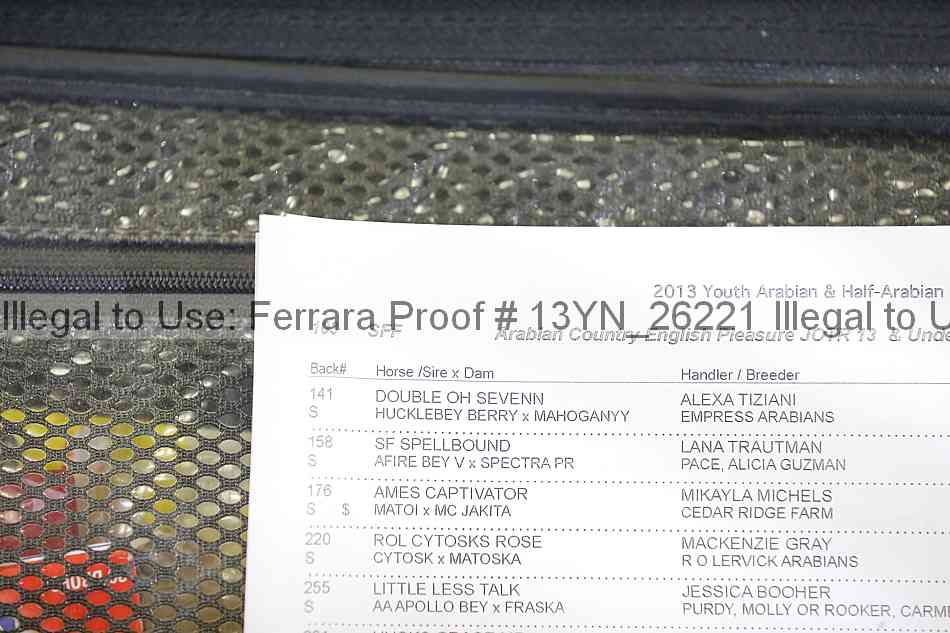 Proof 13yn_26221