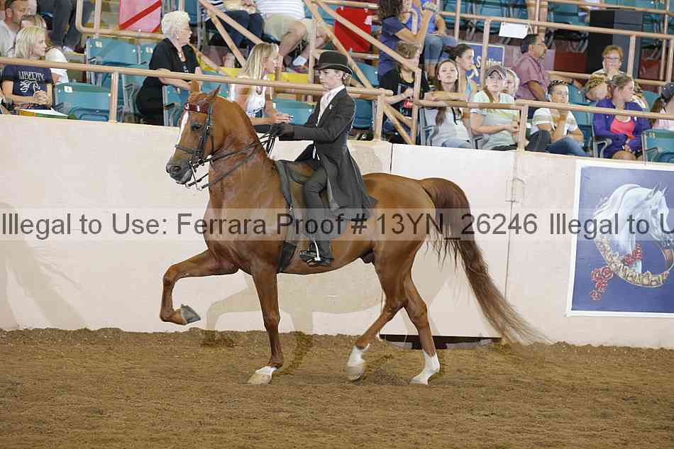 Proof 13yn_26246