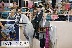13yn_26261 proof